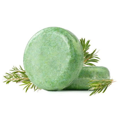 Polygonum Hair Shampoo Bar - LightsBetter